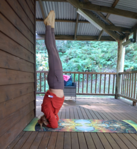 Grow Your Yoga Studio